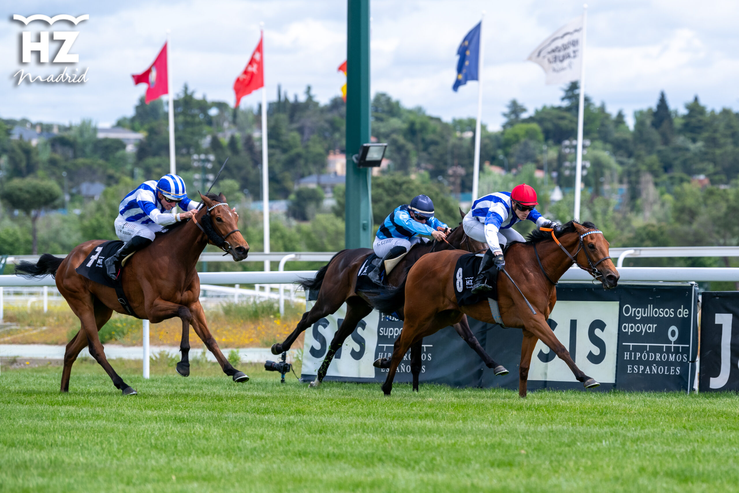 Carrera de caballos en el Hipódromo de la Zarzuela